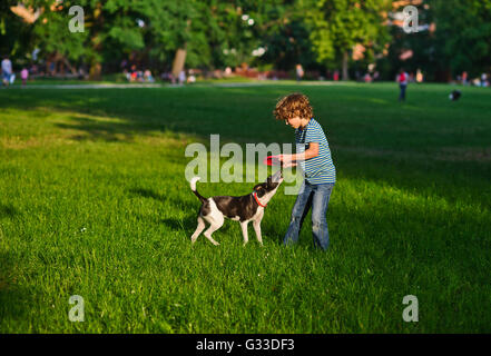 Der junge von ca. 8-9 Jahren spielt gemeinsam mit Doggy auf einem grünen Rasen im Park. Der kleine Kerl hält roten Frisbee in der hand. Stockfoto