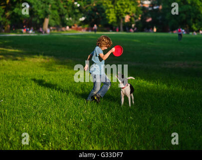 Der junge von ca. 8-9 Jahren trainiert den Hund. Er hält in der hand Frisbee. Der Hund schaut Frisbee, einen Mund geöffnet und dass angesprochen Stockfoto