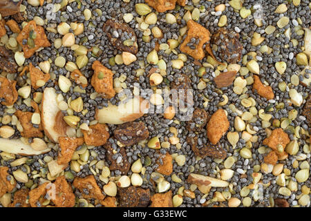 Ganz in der Nähe Blick auf trockenen Frühstücks-Cerealien, bestehend aus Chia-Samen, Nüssen und getrockneten Früchten. Stockfoto