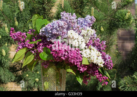 Bouquet von lila Blüten Stockfoto