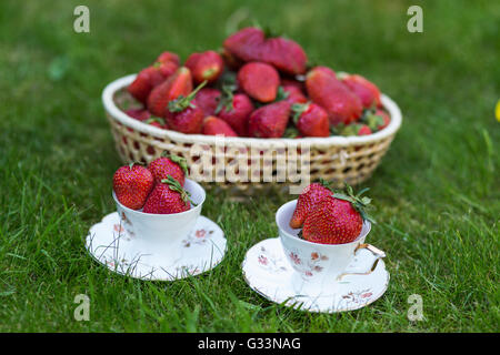 Erdbeeren in einen Korb und dekorierten Teetassen, stehend auf dem grünen Rasen. Draußen Sommer Dekor. Picknick-Idee. Stockfoto