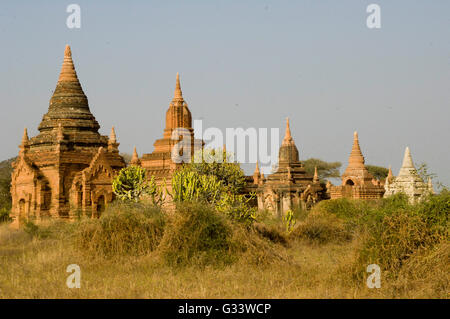 Landschaftlich über Bagan in Myanmar. Bagan ist eine alte Stadt mit Tausenden von historischen buddhistischen Tempeln und Stupas. Stockfoto