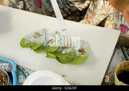 Paan verkaeufers eine Mischung aus Tabak und Areca-Nuss auf ein Betelblatt vorbereiten. Stockfoto