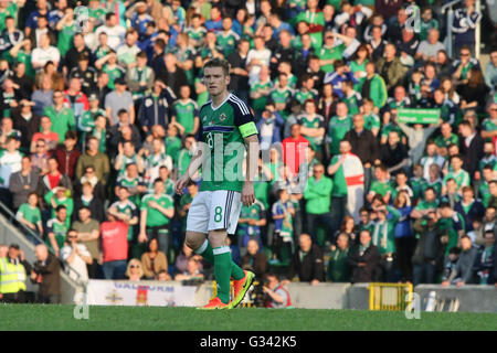 27. Mai 2016 - Vauxhall internationale Herausforderung (Freundschaftsspiel). Nordirland 3 Weißrussland 0. Northern Ireland Kapitän Steven Davis (8) in Aktion. Stockfoto