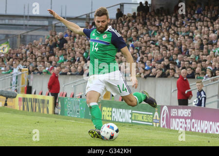 27. Mai 2016 - Vauxhall internationale Herausforderung (Freundschaftsspiel). Nordirland 3 Weißrussland 0. Northern Ireland Stuart Dallas (14) in Aktion. Stockfoto