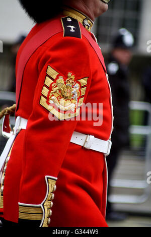 Der Garrison Sgt Major London District während des Trooping of the Colour. London, England Stockfoto