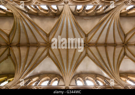 Steinerne Gewölbe (innen / innen) über dem Hauptschiff der Kathedrale von Lincoln, Lincoln. VEREINIGTES KÖNIGREICH. Stockfoto