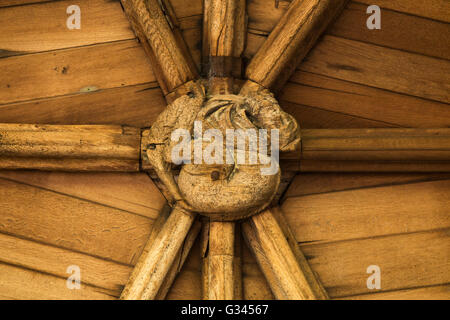 Seltene und ungewöhnliche geschnitzte Holz / Holz-Decke des Klosters / Kreuzgang Spaziergang in Lincoln Kathedrale von Lincoln. VEREINIGTES KÖNIGREICH. (82) Stockfoto