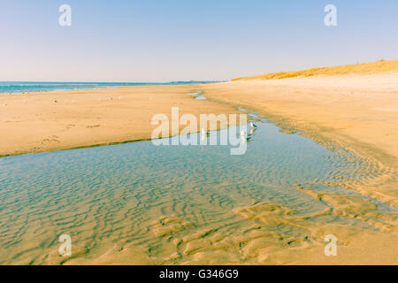 Papamoa an knackig klaren Wintertag, blauer Himmel zum Horizont Sand und Dünengebieten Grass Strand und Meer. Stockfoto