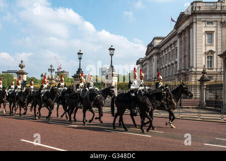 Kavallerie der die Blues and Royals vor Buckingham Palast in London Stockfoto