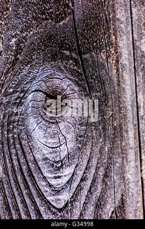 Ein Knoten im Alter Holz Stockfoto