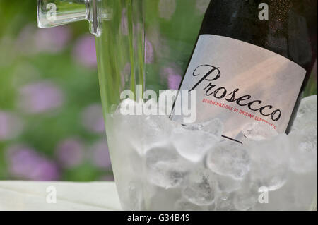 Prosecco-Sekt-Flasche im Weinkühler mit Eiswürfeln im Freien Gartensituation auf Terrassentisch, Blumen dahinter Stockfoto