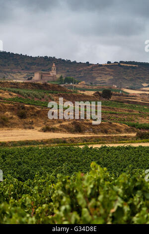 La Rioja, ländlichen Weinland, entlang dem Weg von St. Jakobus, den französischen Weg des Camino nach Santiago De Compostela, Spanien Stockfoto