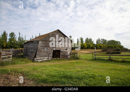 Alte baufällige Scheune, über die Notwendigkeit der Reparatur sitzen in einem alten ländlichen Bauernhof Landschaft von Saskatchewan aufgegeben Stockfoto