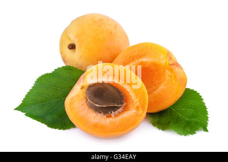 Aprikose und halbe Frucht mit Kernel auf weißem Hintergrund. Stockfoto