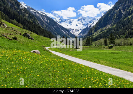 Pfad durch Frühling Berg Landschaft in der Nähe von Stillup, Österreich, Tirol. Stockfoto