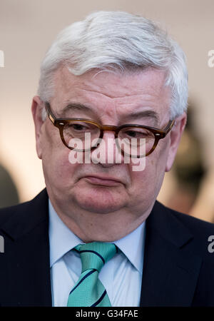 Ehemaliger Minister für auswärtige Angelegenheiten Joschka Fischer (Gruene) in der Residenz in München, 7. Juni 2016. Fischer wird mit der Europa-Medaille vom Bayerischen Staatsminister für Europa Beate Werk (CSU). Foto: SVEN HOPPE/dpa Stockfoto