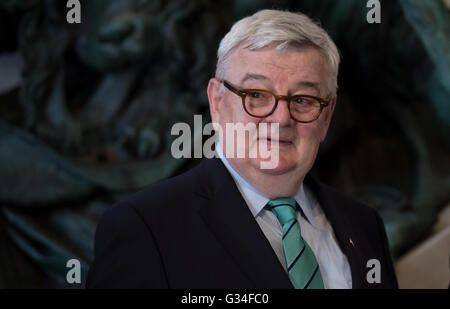 Ehemaliger Minister für auswärtige Angelegenheiten Joschka Fischer (Gruene) in der Residenz in München, 7. Juni 2016. Fischer wird mit der Europa-Medaille vom Bayerischen Staatsminister für Europa Beate Werk (CSU). Foto: SVEN HOPPE/dpa Stockfoto