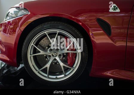 Turin, Italien. 8. Juni 2016. Turin Motor Show 2016 Autoshow statt 44 Autos von vielen Automobilherstellern und Auto-Designer Valentino Park am 8. Juni 2016 in Turin, Italien: Stefano Guidi/Alamy Live News Stockfoto