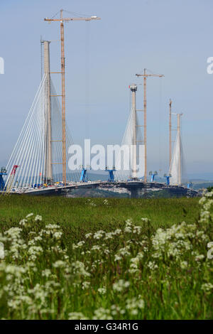 Edinburgh, Schottland, Vereinigtes Königreich, 08, Juni 2016. Queensferry Crossing im Bau, wie es von schottischen Schrank-Sekretärin für die Wirtschaft Keith Brown verkündet wurde, die die Öffnung ist nach dem Zieldatum Dezember 2016 wegen Schlechtwetter verschoben werden Bedingungen der Arbeit Credit: Ken Jack / Alamy Live News Stockfoto