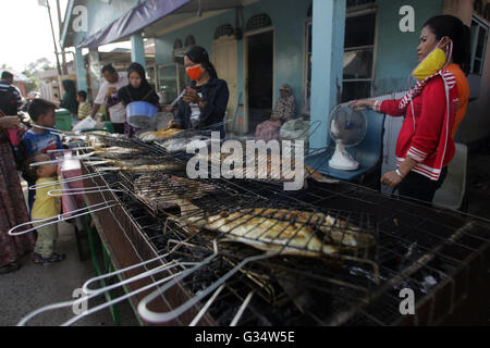 Batam, Indonesien. 8. Juni 2016. Gegrillter Fischhändler servieren Käufer in traditionellen Märkten Kampung Tua Tanjung Uma. Verschiedene Arten von frisch gegrillten Fisch, Tintenfisch und Krabben von den Fischern können roh oder in den Kraftstoff in das Optionen-Menü-Iftar im Ramadan erworben werden. Ramadan Pasar Tanjung Uma ist der Markt am häufigsten besuchten Batam Bewohner während des Fastenmonats. Dieser Markt ist der älteste Ramadan-Basar in der Stadt von Batam. © Teguh Prihatna/Pacific Press/Alamy Live-Nachrichten Stockfoto