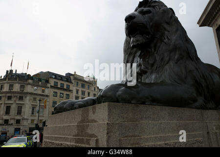 London, England. 8. Juni 2016. Juni in London angekommen aber scheint Sommer hinter uns gelassen haben wie Regen die Hauptstadt peitscht und Thundrous Wolken den Himmel am Trafalgar Square verdunkeln.  Uganda-Haus ist in der Ferne, wo die Fahne hängt und eines Landseers Löwen wacht über den Trafalgar Square. Bildnachweis: Peter Hogan/Alamy Live-Nachrichten Stockfoto