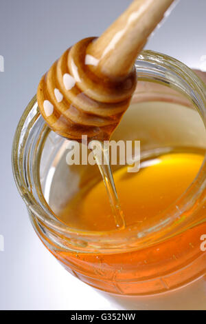 Honig-Löffel in ein Glas Honig Stockfoto