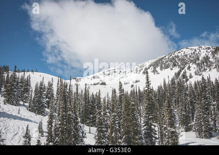 Whistler Ski Resort Landschaft Stockfoto