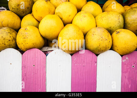 ein grosser Haufen Guave tropische Früchte auf einem Stall in thailand Stockfoto