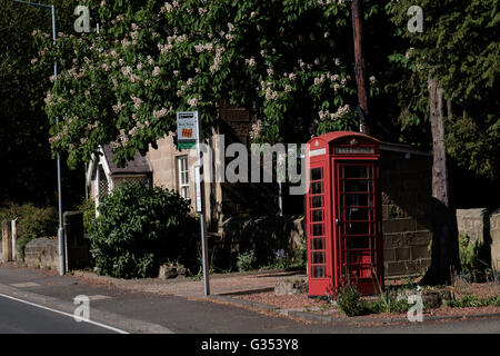 Vintage K6 Modell britische rote Telefonzelle neben einer Bushaltestelle in Longhirst Dorf Northumberland England Stockfoto