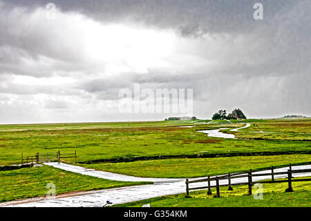 Hallig Hooge ist eine der vielen kleinen Inseln auf der West-Küste von Schleswig-Holstein, Deutschland; Hallig Hooge in Nordfriesland Stockfoto