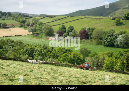 Ein roter Traktor drehen Rasen in einer Sommerwiese Heu in der englischen Landschaft zu trocknen. Stockfoto