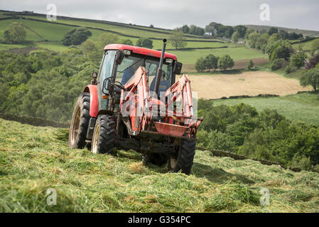Ein roter Traktor drehen Rasen in einer Sommerwiese Heu in der englischen Landschaft zu trocknen.  Vater und Sohn im Inneren des Traktors. Stockfoto