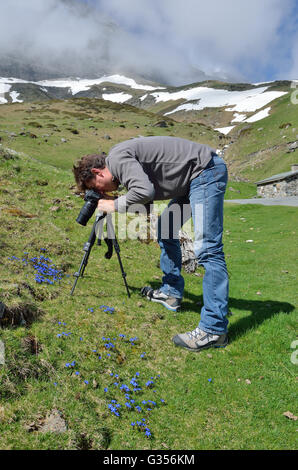 Fotografieren im Frühjahr Pyrenäen Stockfoto