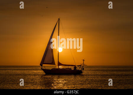 Segelboot auf ruhiger See bei Sonnenuntergang im Golf von Mexico, Florida Stockfoto