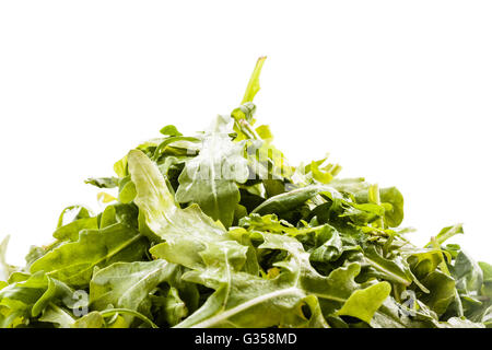 ein Haufen von Roquette Salat auf einem weißen Hintergrund isoliert Stockfoto
