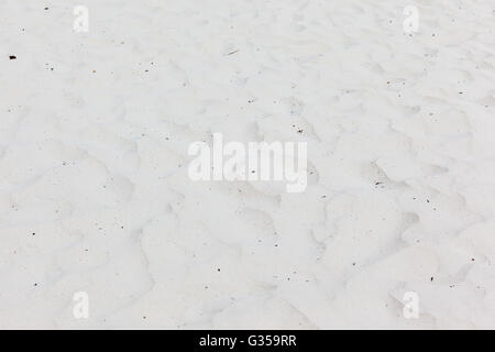 tropischen sauberen weißen Sand auf einer exotischen thai Insel in der Andamanensee Stockfoto