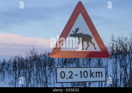 Warnung Straße überqueren Elche Sign. im Schnee Stockfoto