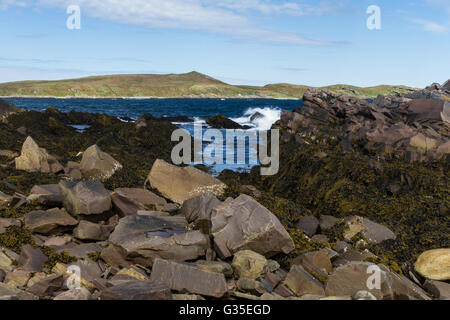 Die Küste von Vadsoya, Vadso, Finnmark, Norwegen. Stockfoto