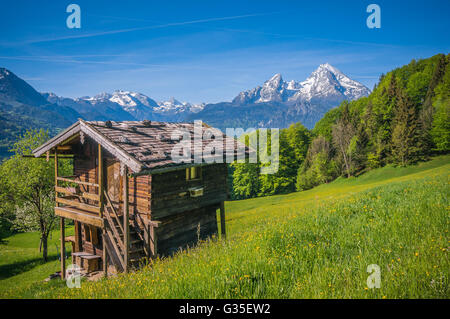 Idyllische Landschaft in den Alpen mit einer traditionellen Lodge in grünen Wiesen und schneebedeckten Berggipfeln im Hintergrund Stockfoto