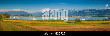 Schöner Panoramablick auf Boote liegen im Zürichsee mit der historischen Stadt Rapperswil im Hintergrund goldener Abend Stockfoto