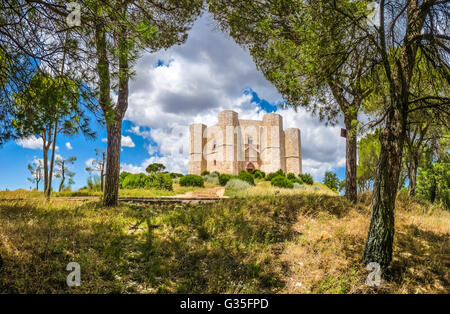 Schöne Aussicht von Castel del Monte, das berühmte achteckige Form Wasserburg durch den römischen Kaiser Friedrich II., Apulien, Italien Stockfoto