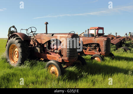 Antike Massey-Harris-Traktoren auf einem Bauernhof in Alberta, Kanada. Stockfoto