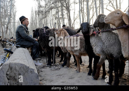 CHINA, Provinz Xinjiang, Markttag in der uigurischen Dorf Jin Erek in der Nähe der Stadt Kashgar, wo der Uiguren leben Leute, Leute verkaufen Schafe Lamm- und Ziegenfleisch Stockfoto