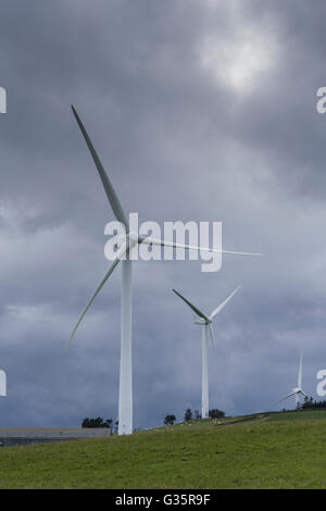 Wooplaw, Scottish Borders in der Nähe von Galashiels. Windkraftanlagen. Stockfoto