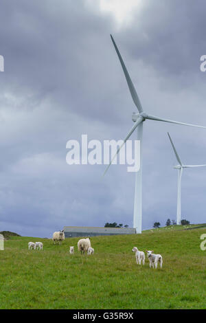 Wooplaw, Scottish Borders in der Nähe von Galashiels. Windkraftanlagen. Stockfoto