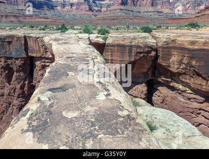 Ein Wanderer zu Fuß in der Nähe der Spitze des Bogens Musselman, auf White Rim Road, in der Nähe von Moab, Utah. Stockfoto