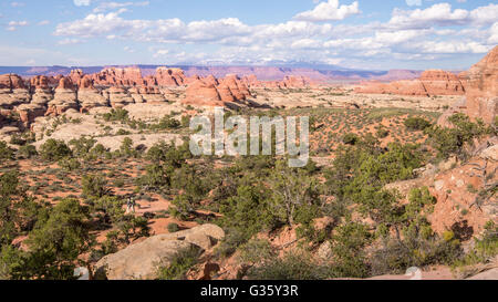 Wanderer auf der Elephant Hill/Chesler Park Trail, in der Nadeln Bezirk des Canyonlands National Park, in der Nähe von Moab, Utah. Stockfoto