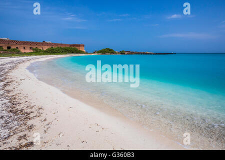 Schöne Schale Sand Strand mit türkisfarbenem Wasser vor den Toren Fort Jefferson im Dry-Tortugas-Nationalpark, Florida, USA Stockfoto