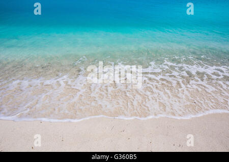 Schöne Schale Sand Strand mit türkisfarbenem Wasser vor den Toren Fort Jefferson im Dry-Tortugas-Nationalpark, Florida, USA Stockfoto